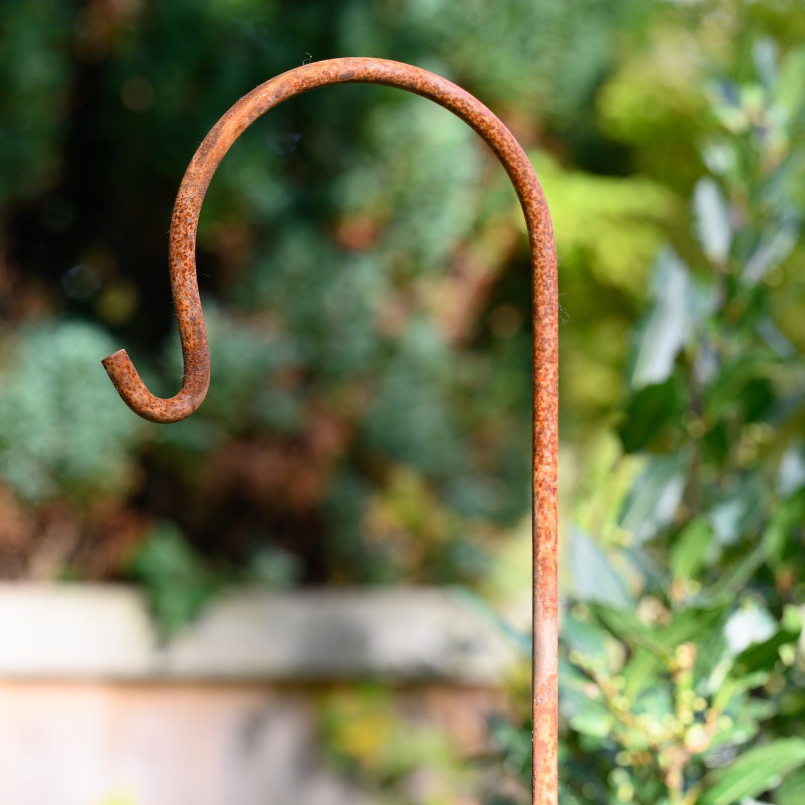 Shepherd's Crook - Rust Seconds - Special Offer from Harrod Horticultural